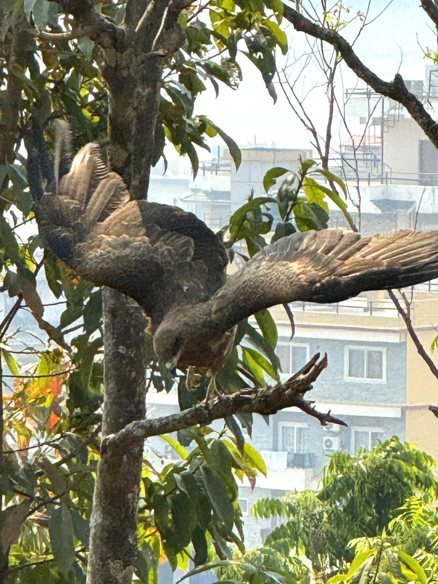 Homeland Forest Villa Pokhara Extérieur photo