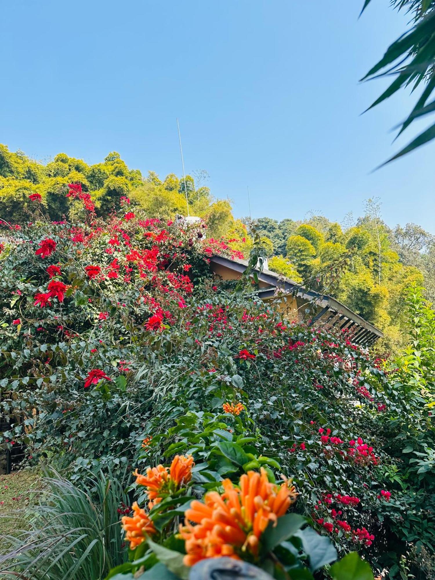 Homeland Forest Villa Pokhara Extérieur photo